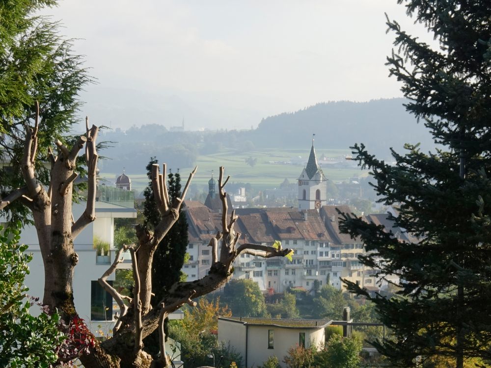 Blick zur Altstadt