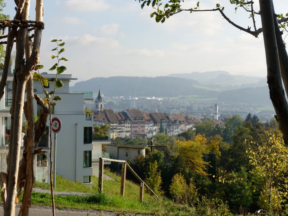 Blick zur Altstadt