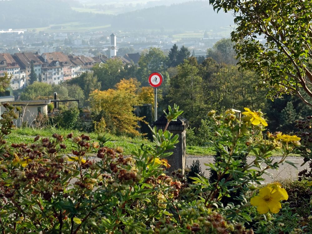 Blick zur Altstadt