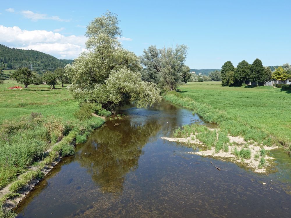 Donau bei Nendingen