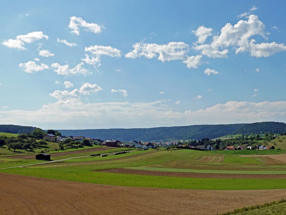 Blick von der Hebsacker Halde