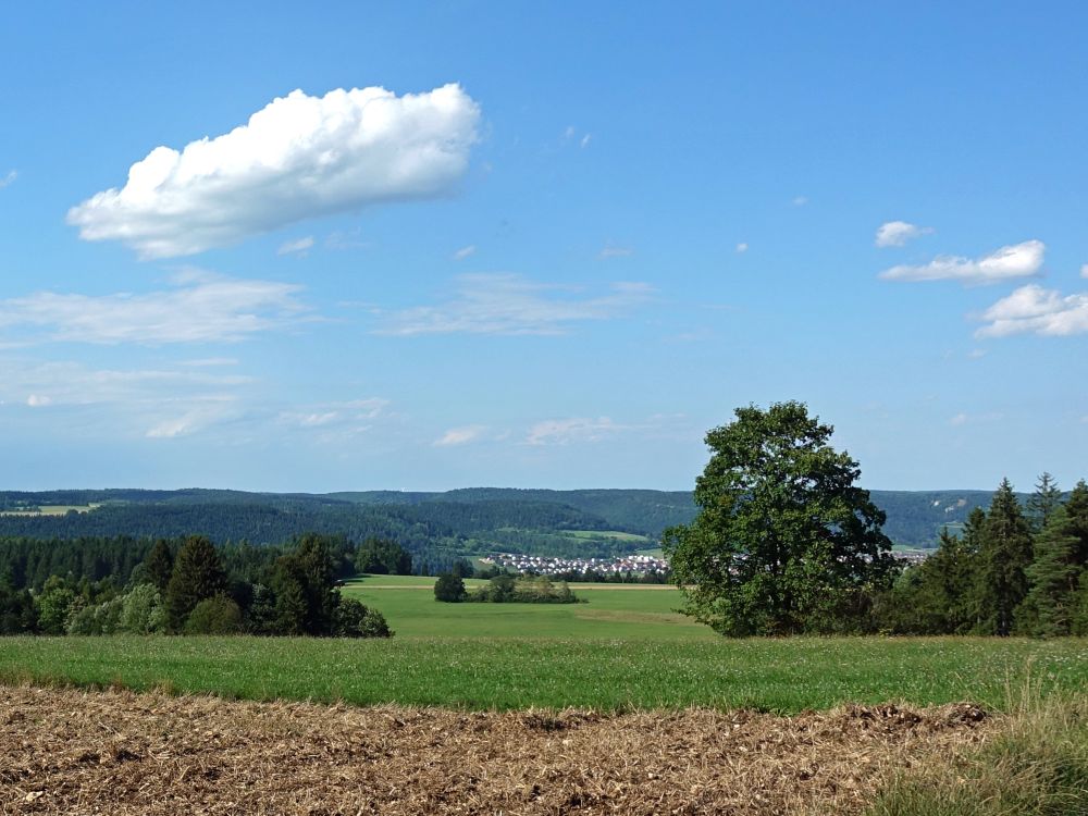 Blick vom Sengenbühl