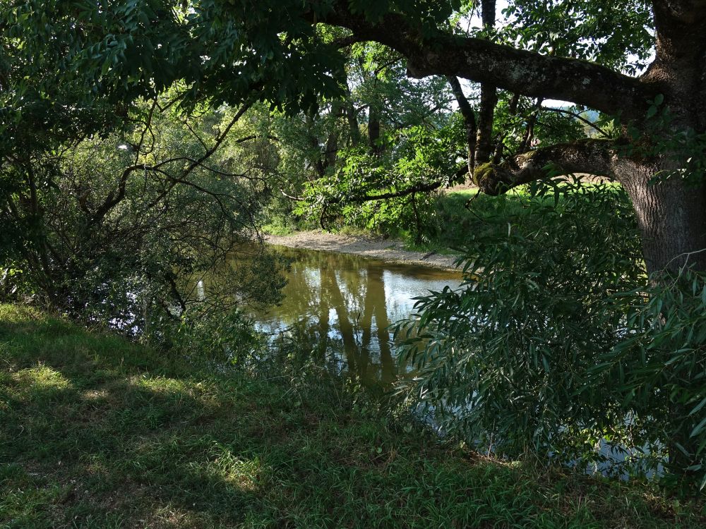 Donau bei Tuttlingen