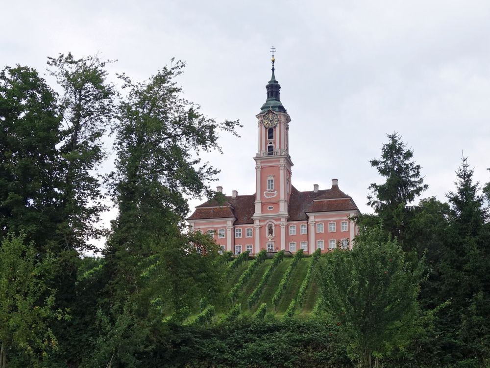 Birnau berm Weinberg