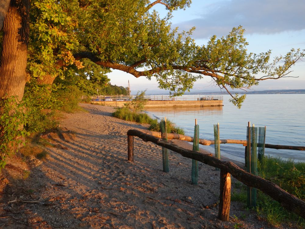 Abendlicht am Seeufer