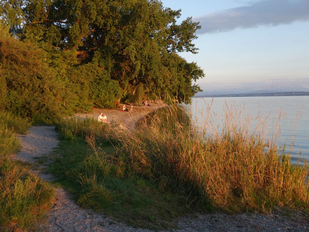 Abendlicht am Seeufer