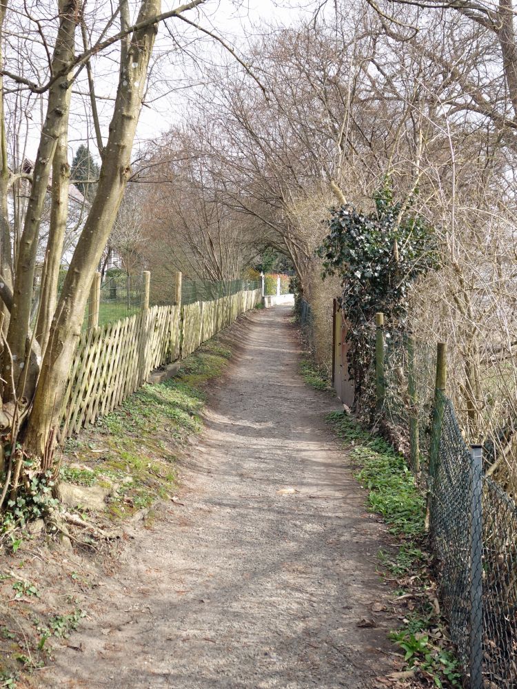 Bodensee Rundweg