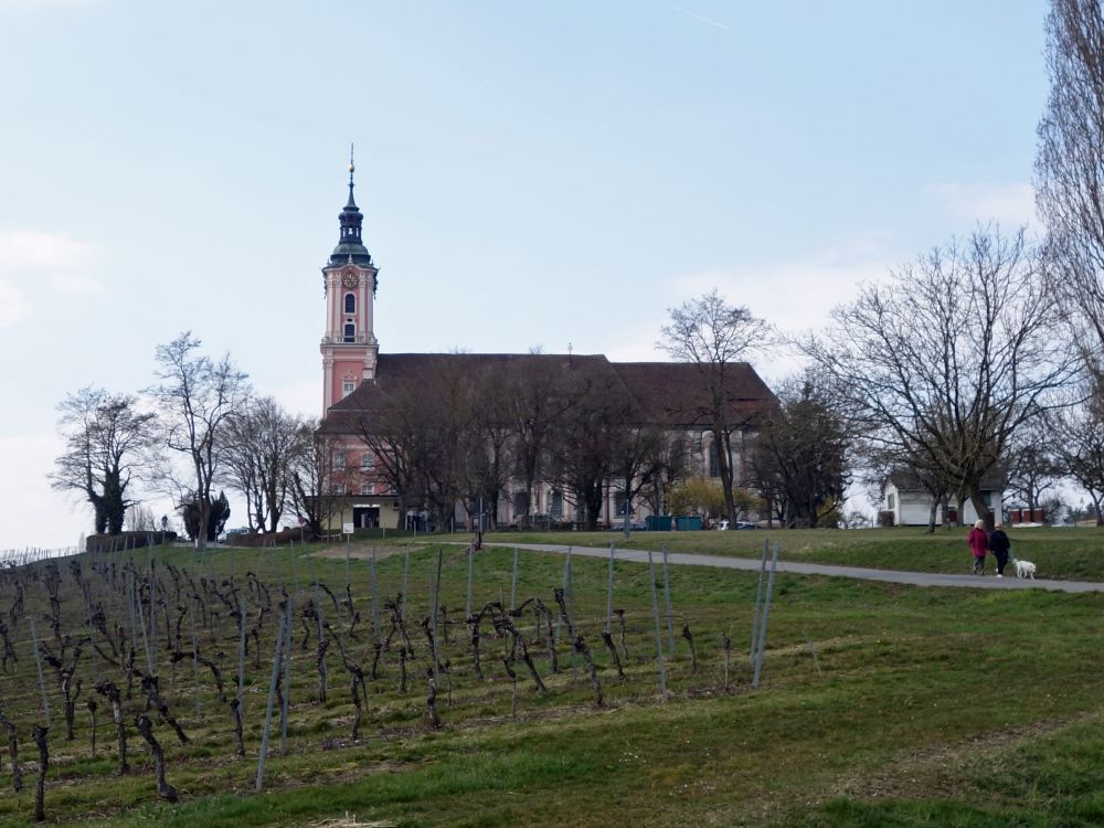 Kosterkirche Birnau