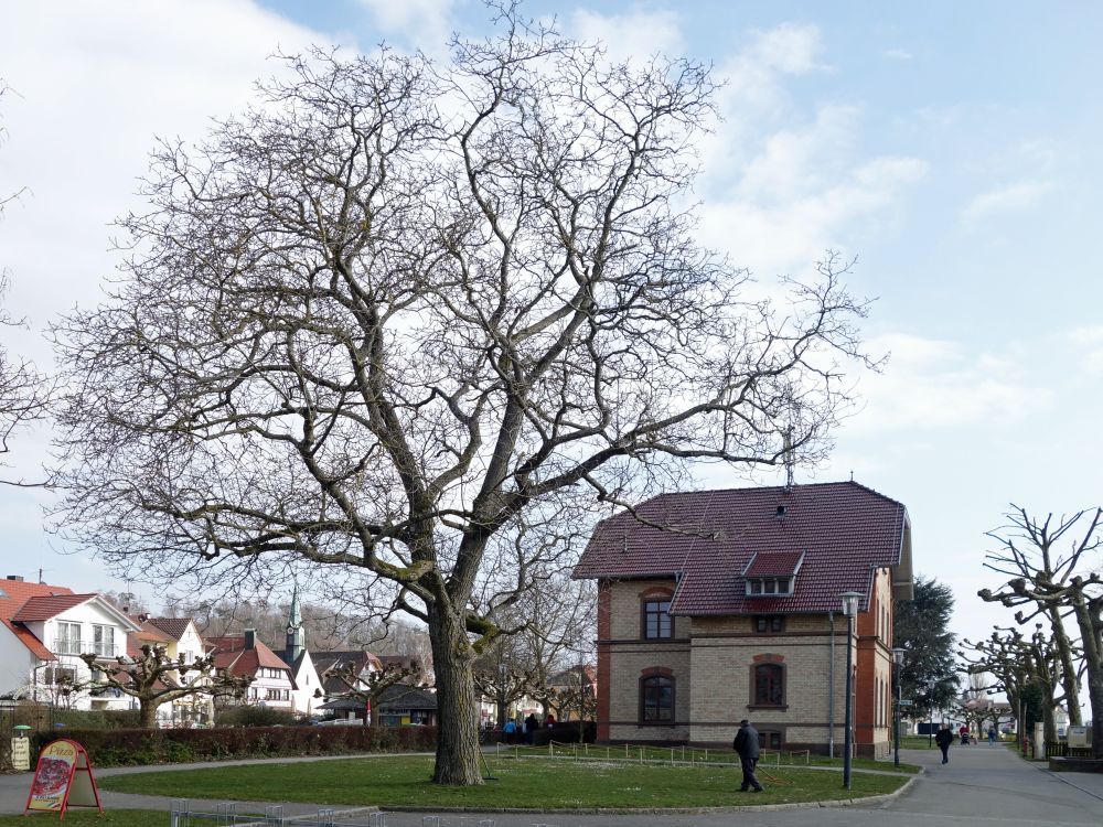 Häuschen in Uldingen