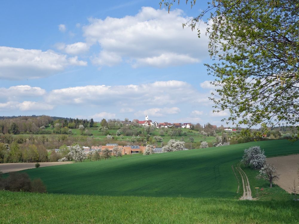 Blick Richtung Aufkirch