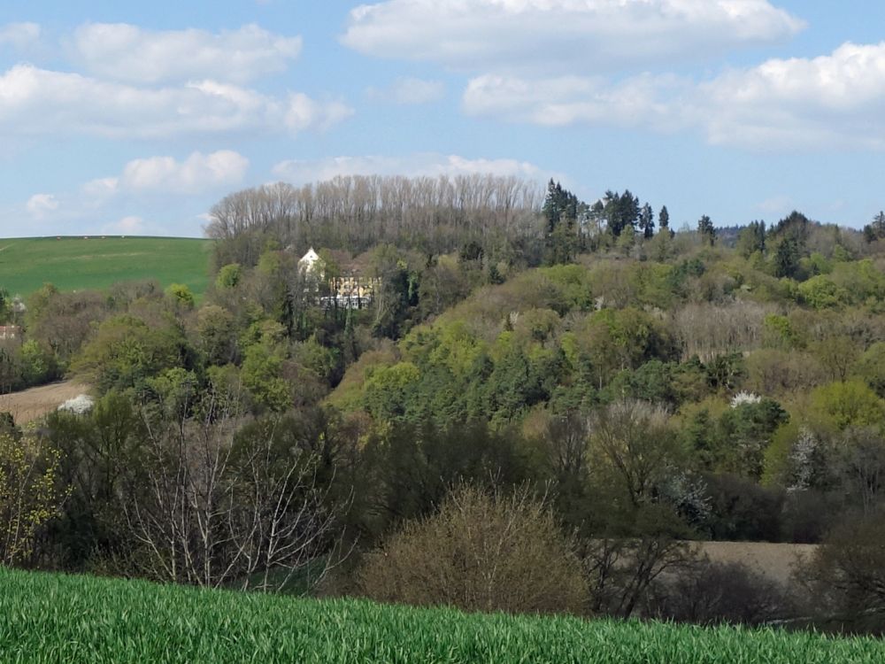 Blick Richtung Spetzgart