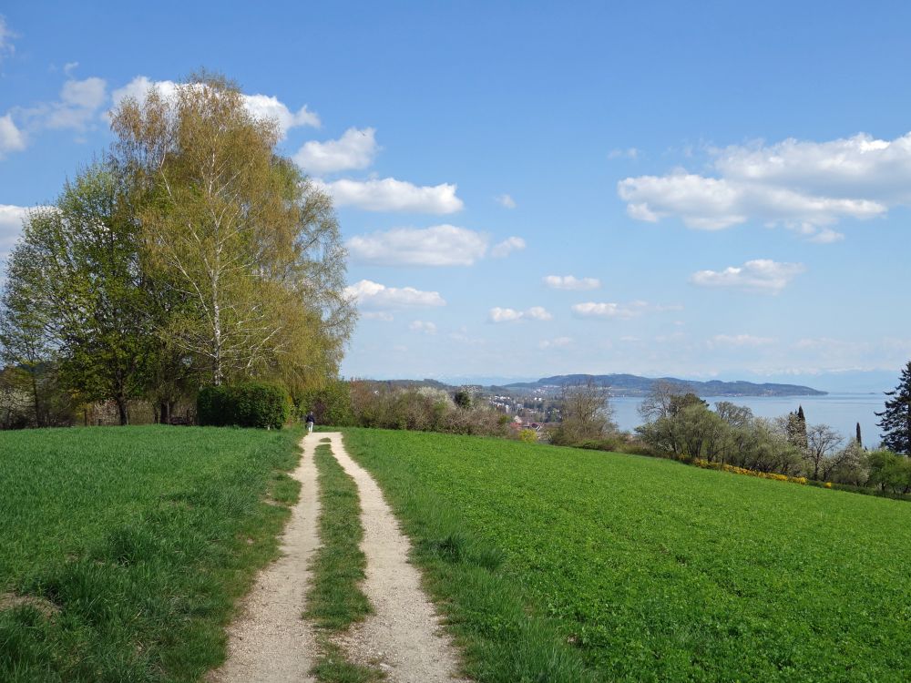 Blick vom Eglisbol