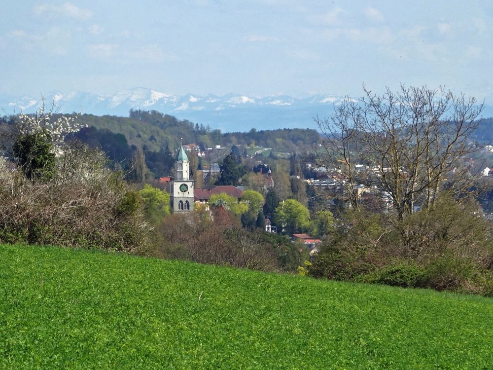 berlingen und Alpen