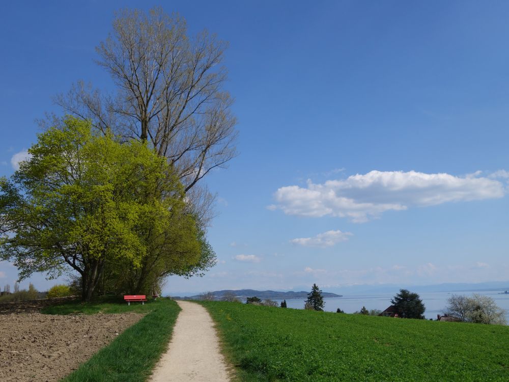 Blick vom Eglisbol