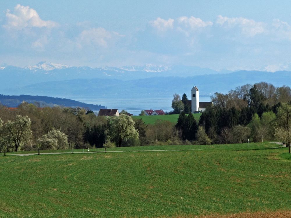 Alpen und Kirche von Aufkirch