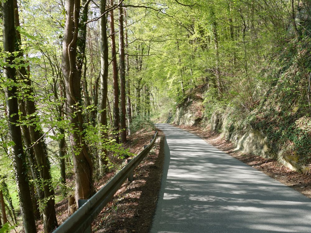 Bergstrsschen bei Hdingen