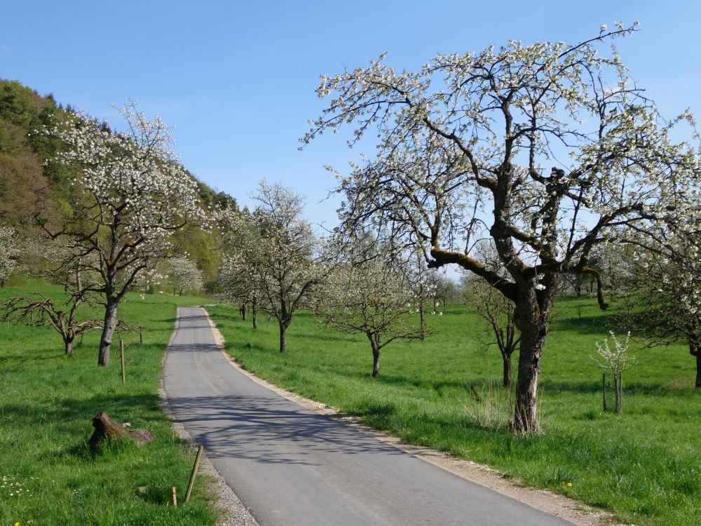 Strsschen nach Sssenmhle