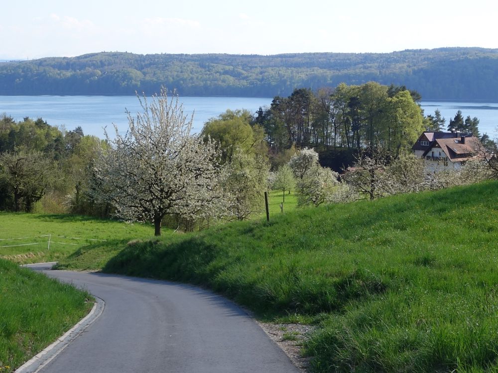 Bodensee und Rosenberg