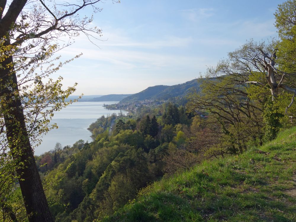 Blick Richtung Sipplingen