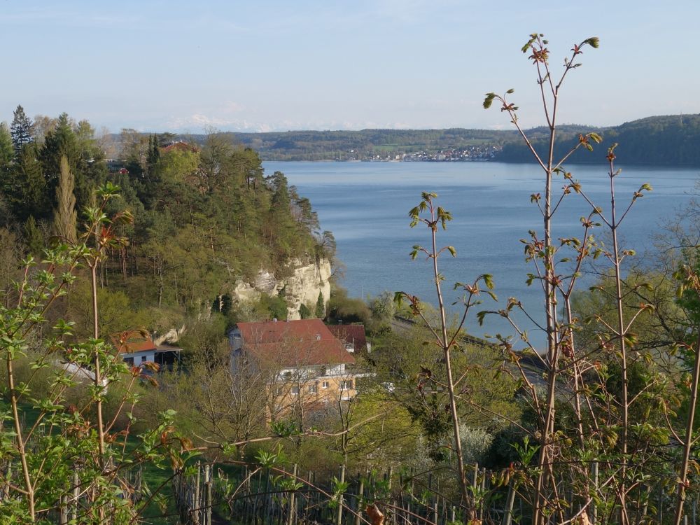 Blick auf den berlinger See