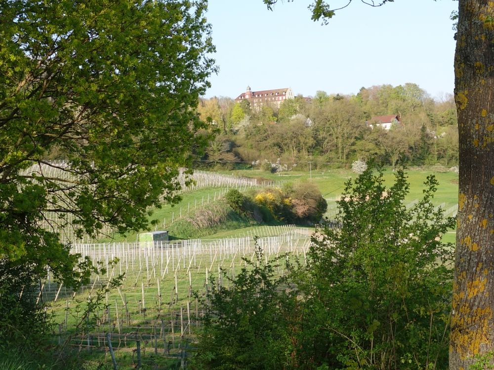 Blick Richtung Spetzgart