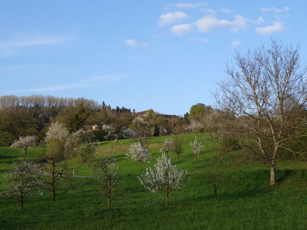 Blick Richtung Spetzgart