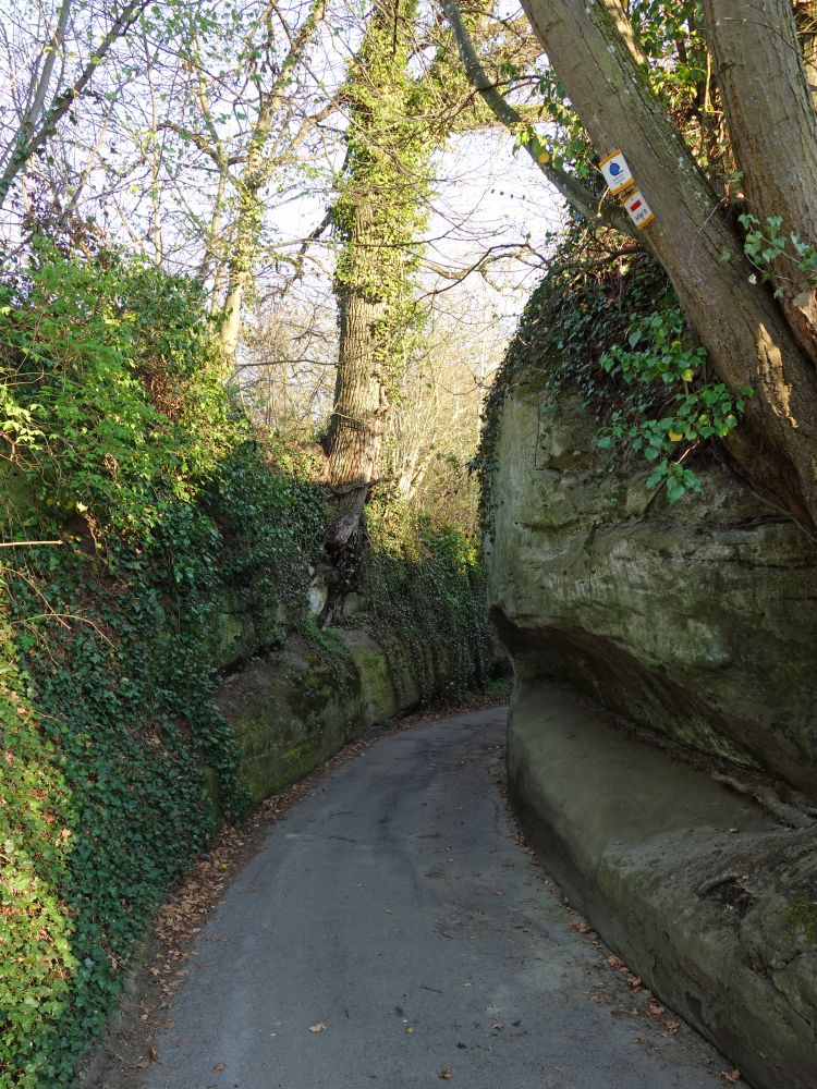 Wanderweg im Sandsteingraben