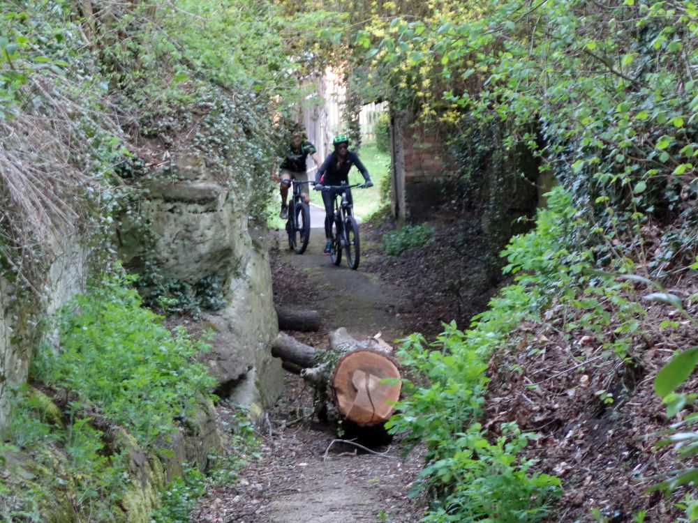 Wanderweg im Sandsteingraben