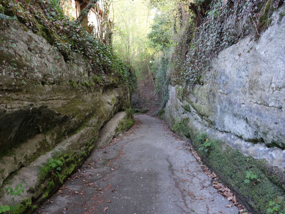 Wanderweg im Sandsteingraben