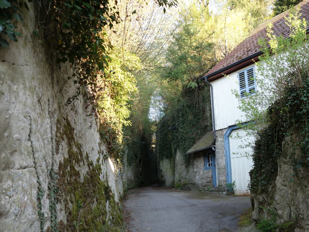 Wanderweg im Sandsteingraben