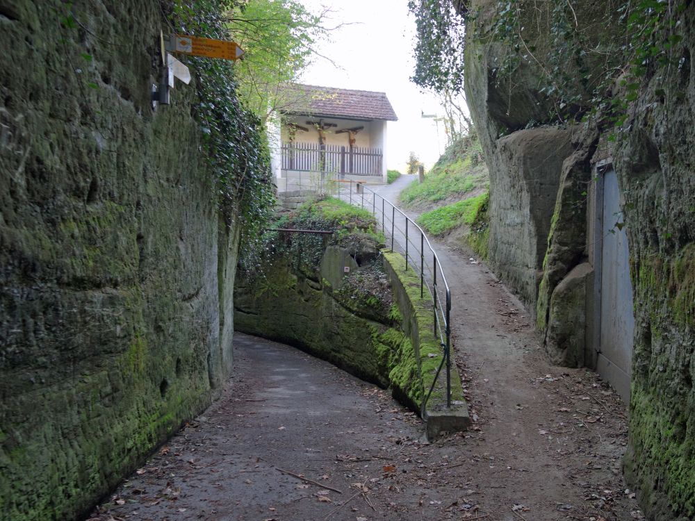 Wanderweg im Sandsteingraben