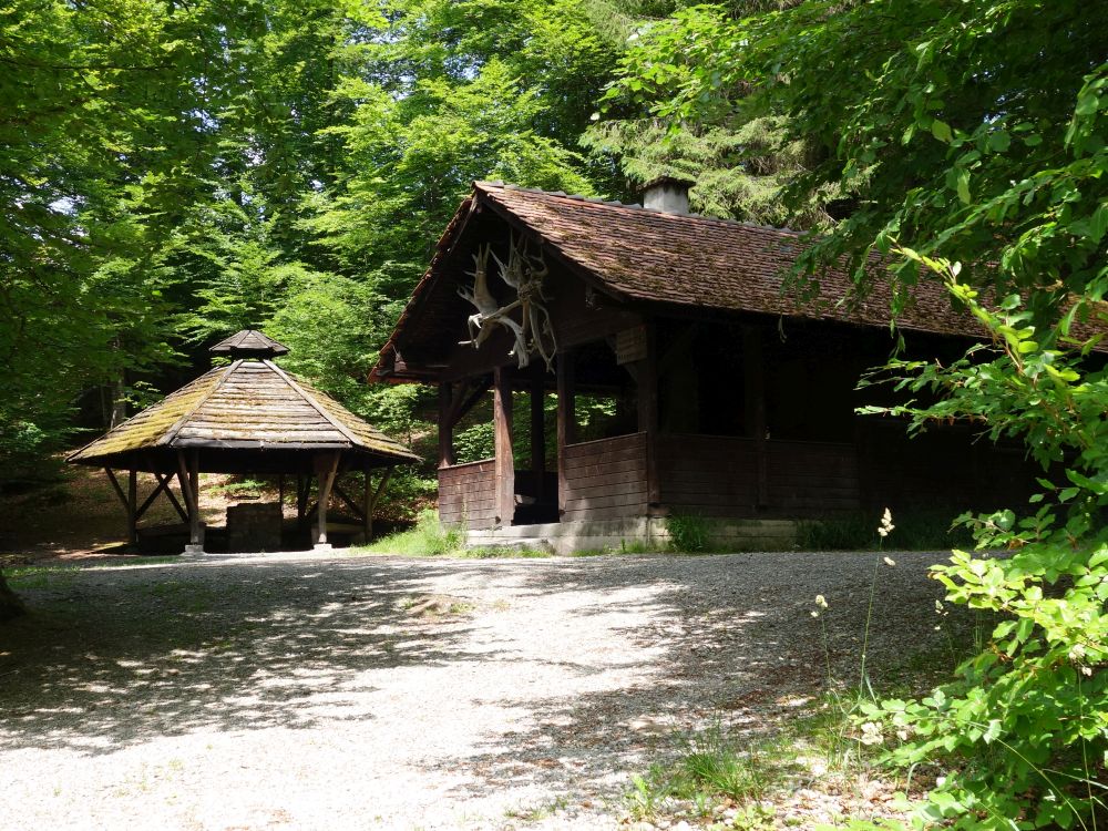 Hütte am Nellenfurtweiher