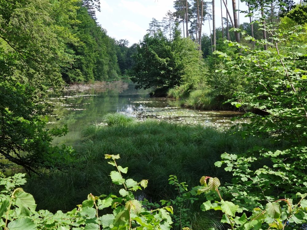 Oberer Nellenfurtweiher