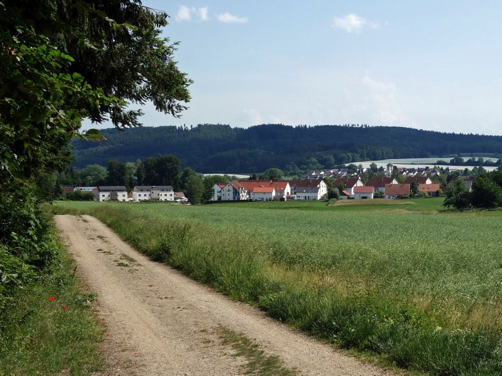 Blick auf Mühlhofen