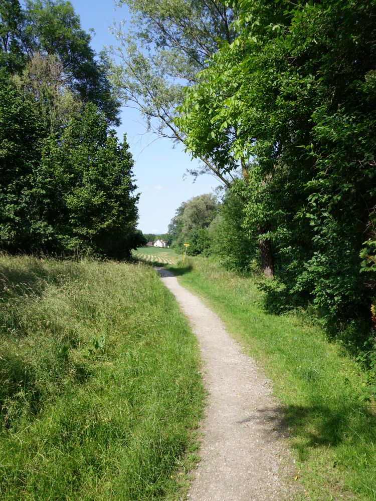 Wanderweg an der Aach