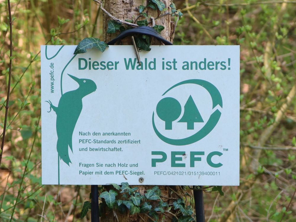 Infotafel