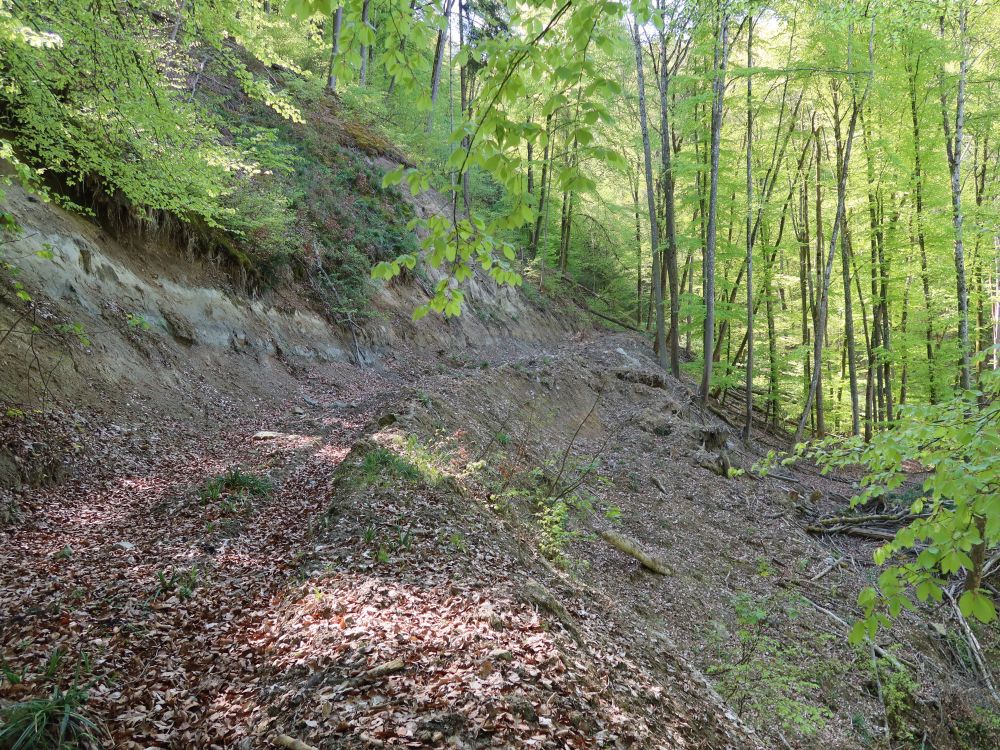 Erosion