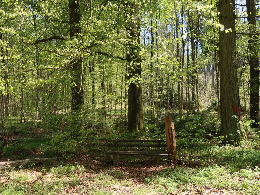 Sitzbank