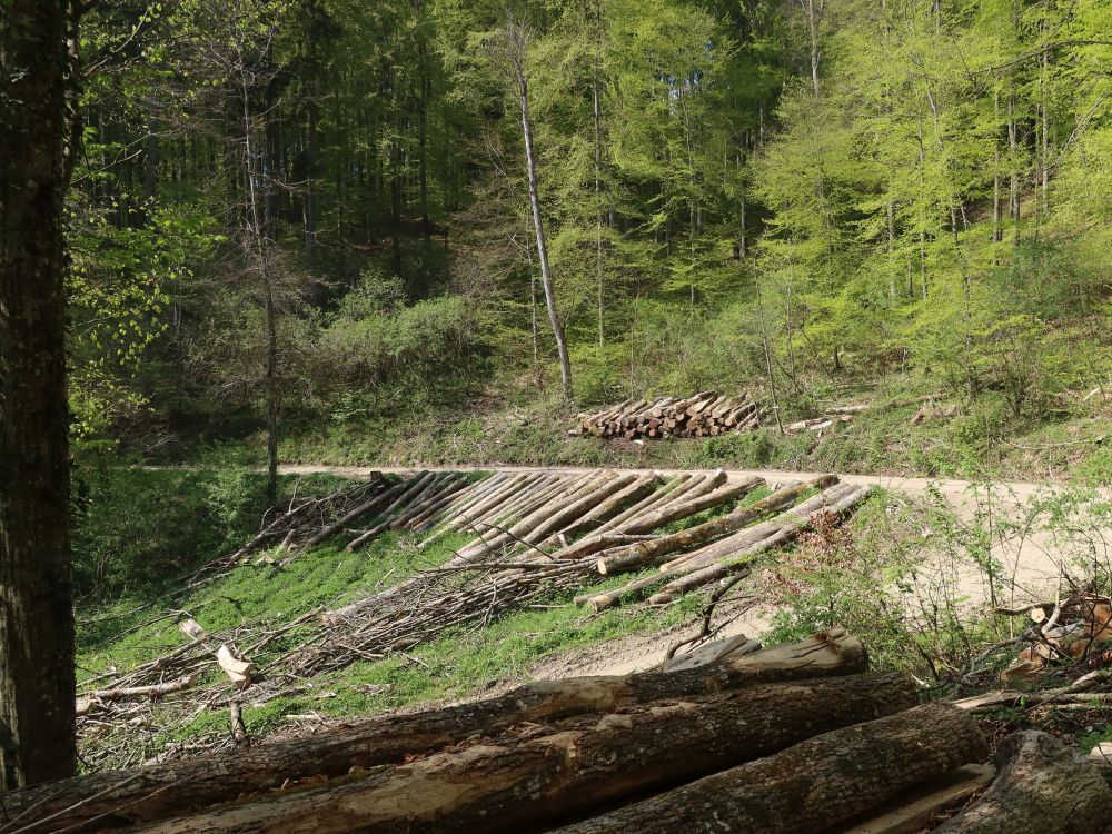 Holzschlag