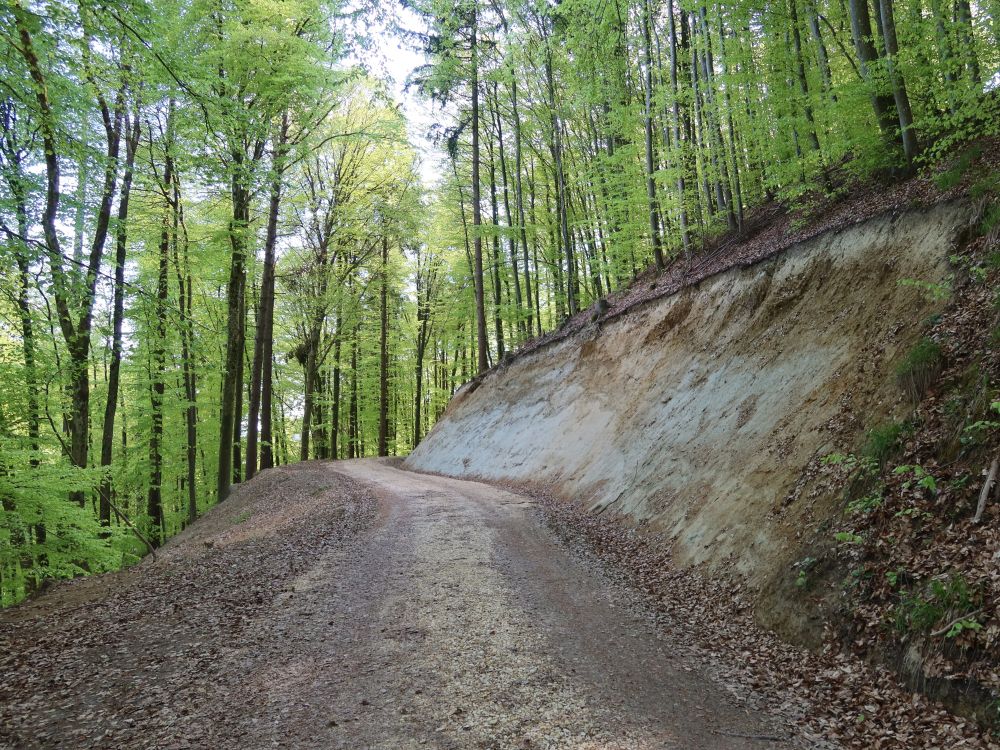 Waldweg