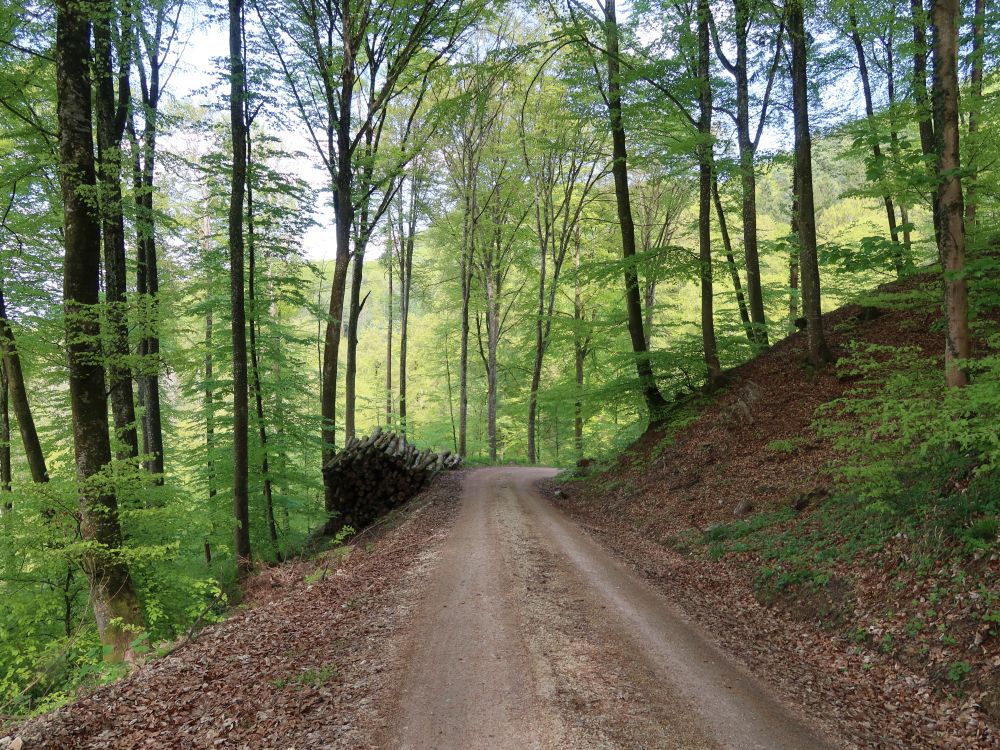 Waldweg