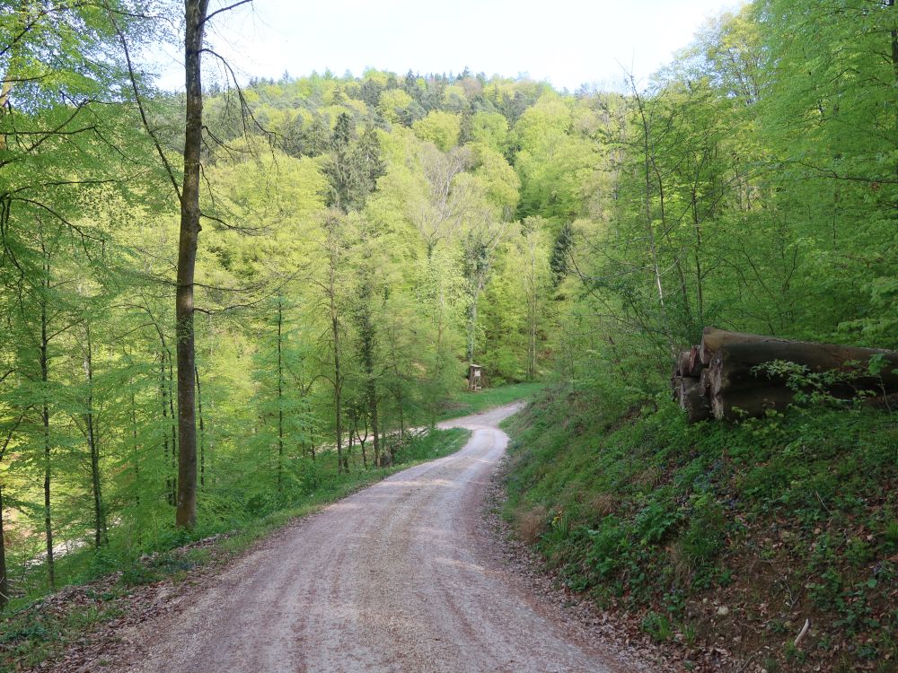 Waldweg