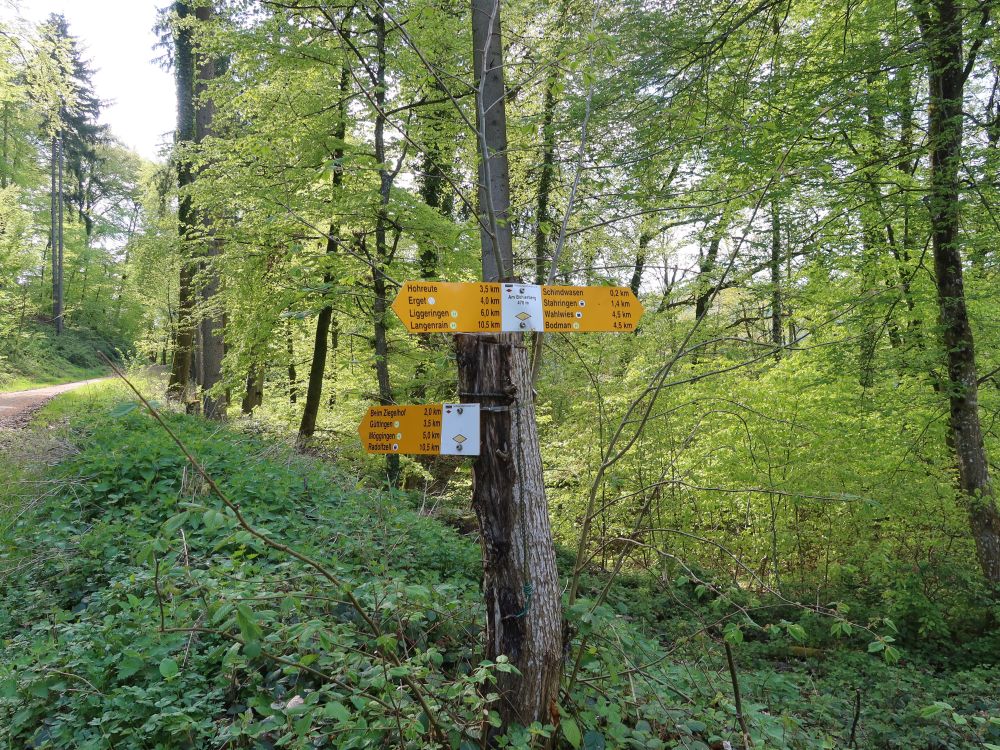 Wanderwegweiser