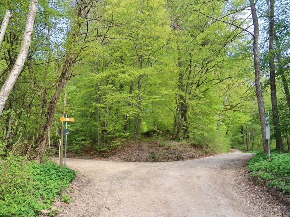 Weg im Markttal
