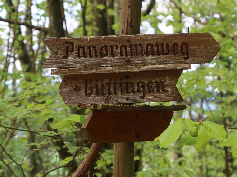 Wegweiser