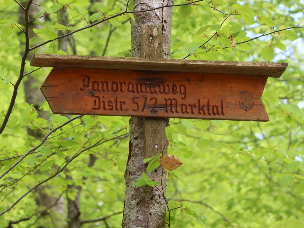 Wegweiser