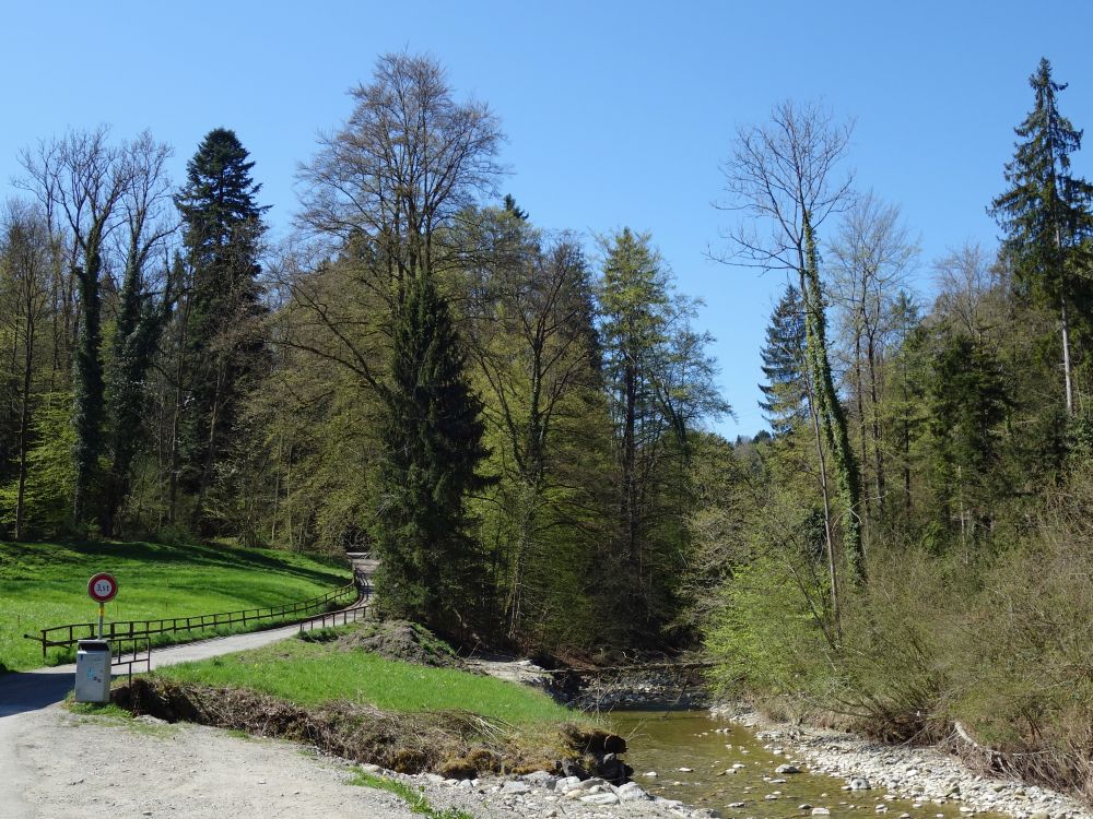 Wanderweg am Goldachufer