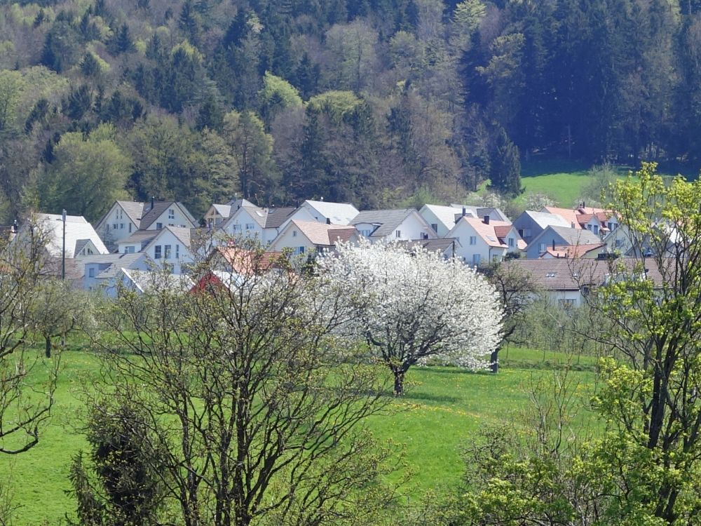 Vorderhof