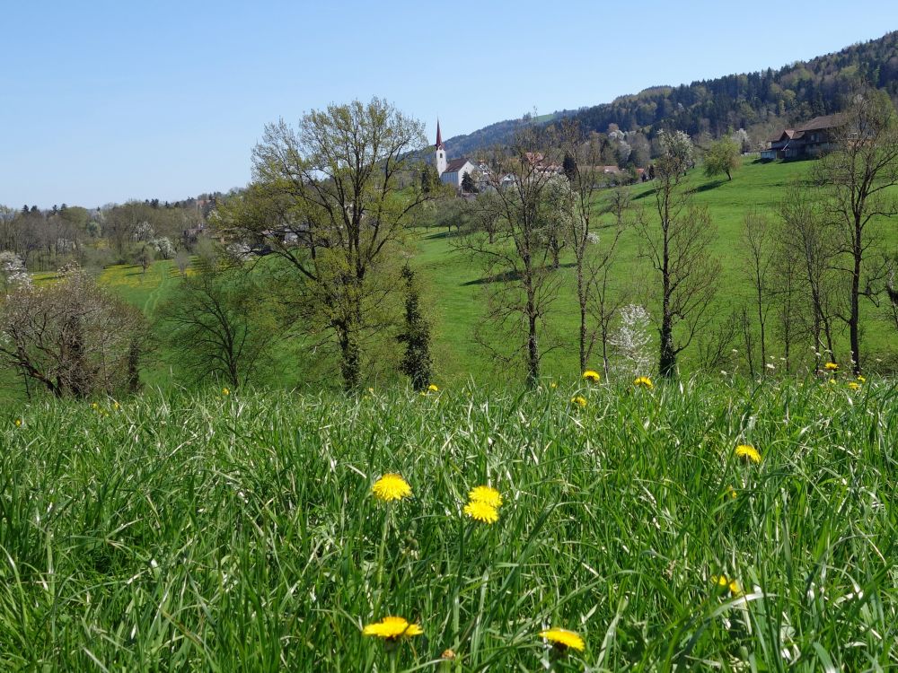 Blick Richtung Vorderhof