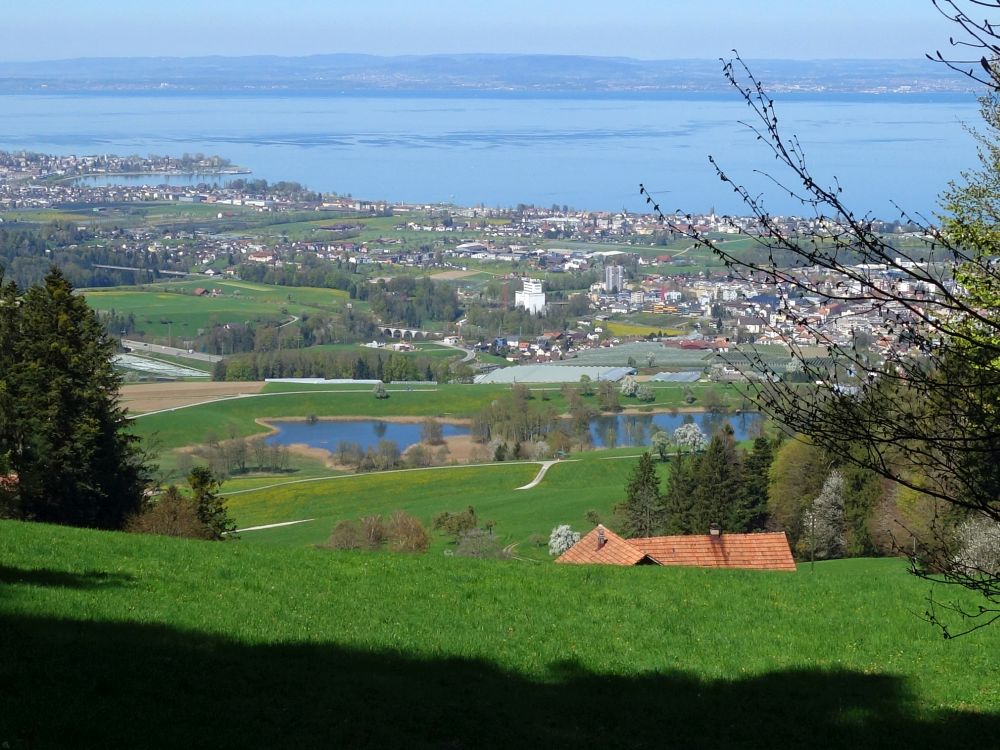 Schlossweiher und Bodensee